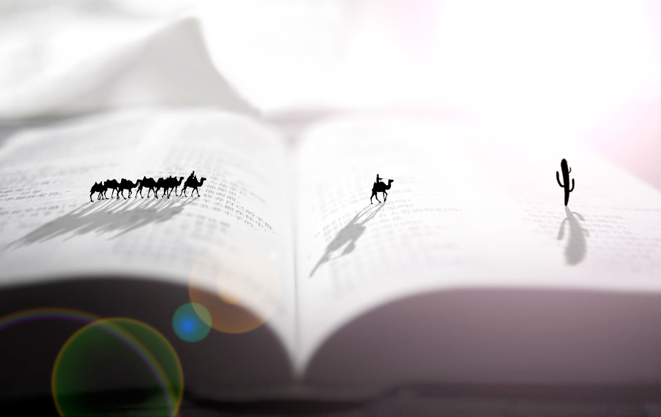 2016暑假美西加州阳光之旅