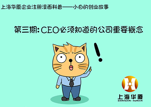 漫画第三期-CEO必须知道的公司重要概念